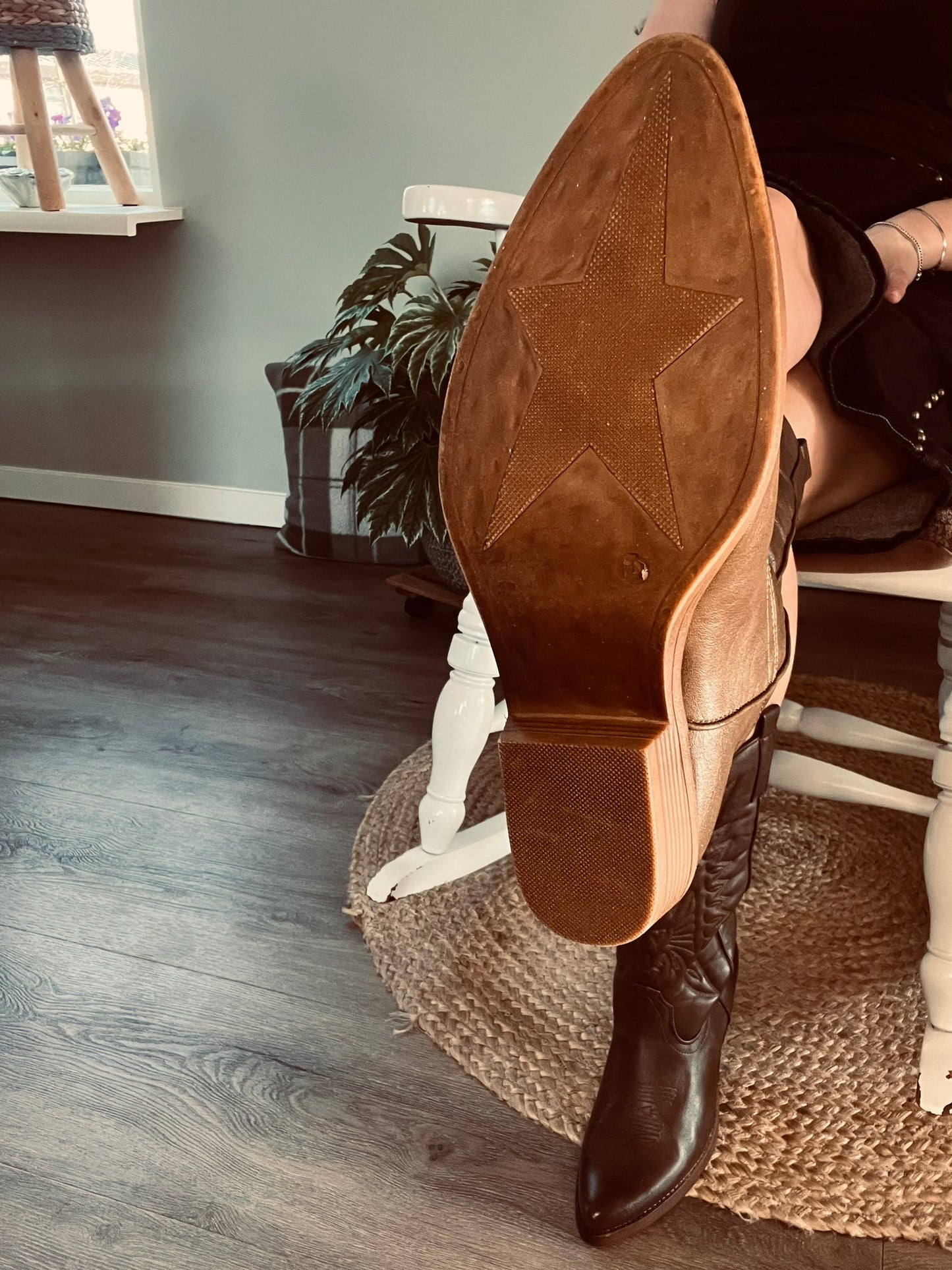 Bruine Cowboylaars Met Sterrenzool