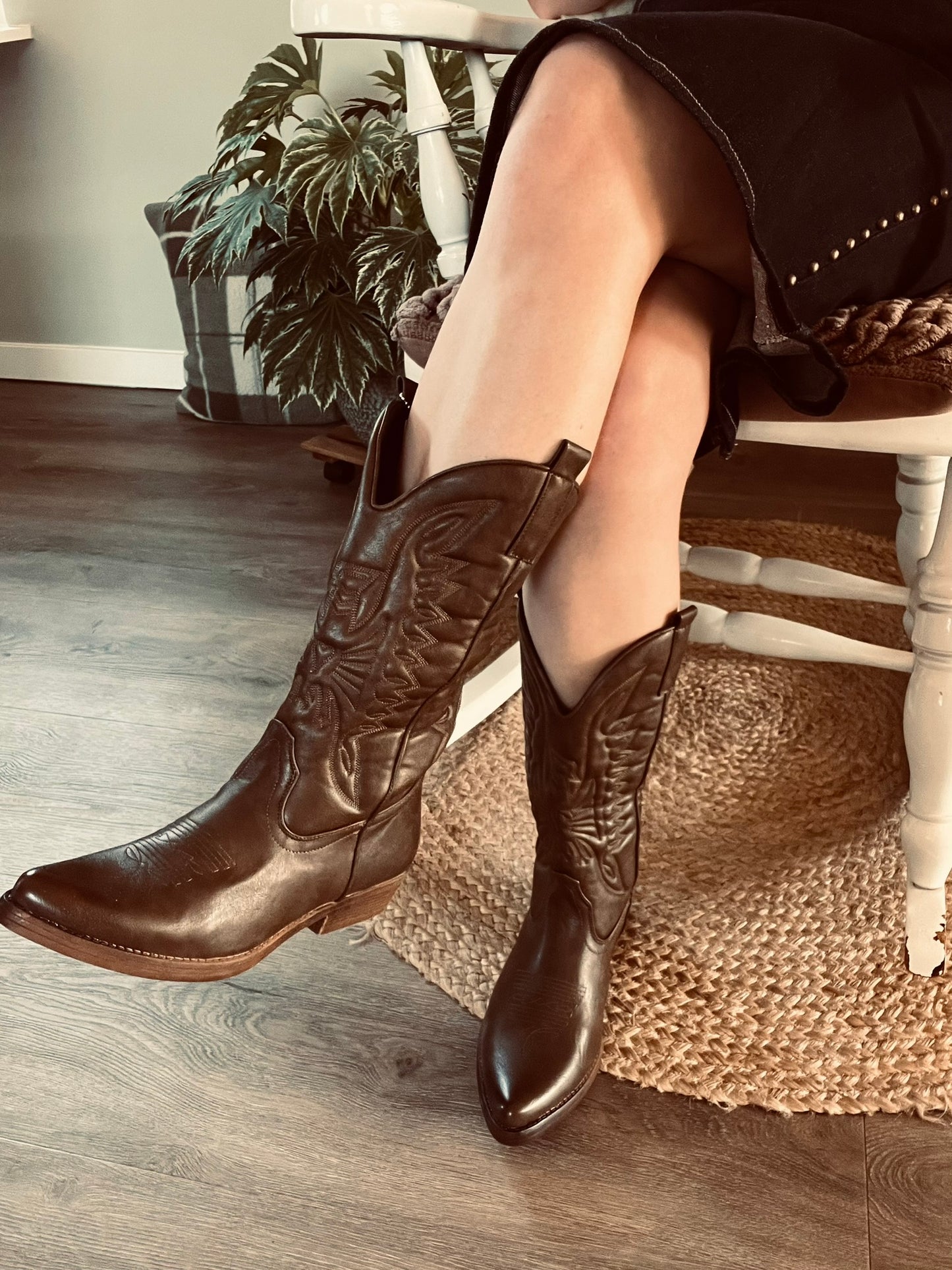 Bruine Cowboylaars Met Sterrenzool